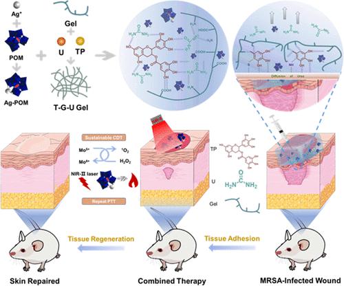 Injectable Tissue-Adhesive Hydrogel For Photothermal/Chemodynamic ...