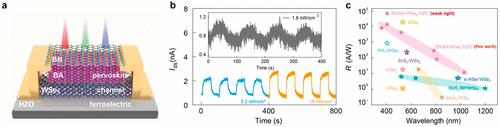 Boosting The Sensitivity Of WSe2 Phototransistor Via Janus Interfaces ...