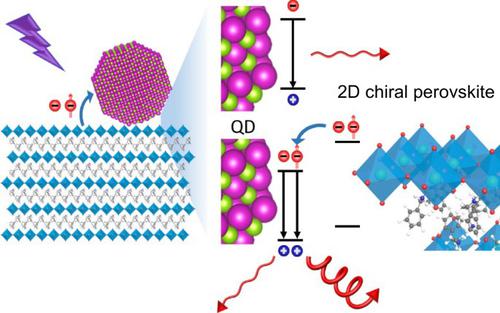 Strong Circularly Polarized Luminescence From Quantum Dots/2D Chiral ...