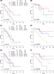 Clinical relevance of high-risk cytogenetic abnormalities and the ...