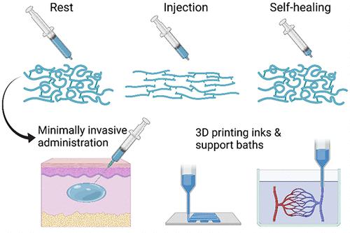 Self-Healing Injectable Hydrogels for Tissue Regeneration