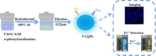 High Quantum Yield Nitrogen-doped Carbon Quantum Dots: Green Synthesis ...