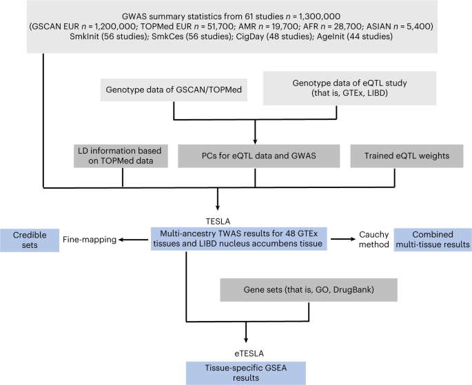 Multi-ancestry Transcriptome-wide Association Analyses Yield Insights ...