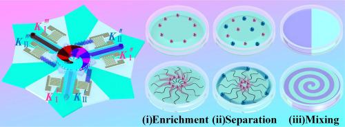 Multifunctional Acoustofluidic Centrifuge Device Using Tri-symmetrical ...