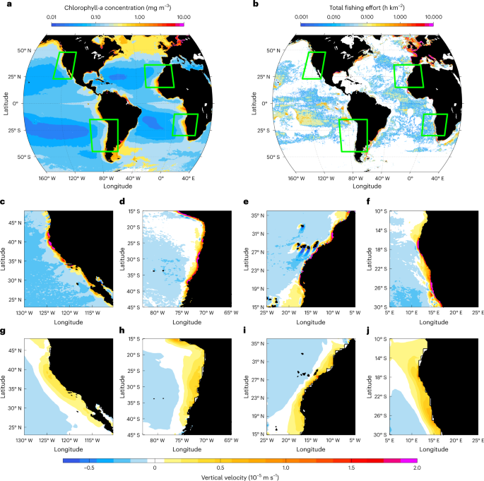 Geostrophic Flows Control Future Changes Of Oceanic Eastern Boundary 