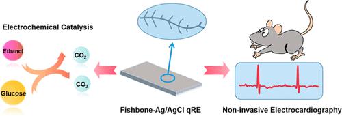 Novel Flexible Ag/AgCl Quasi-Reference Electrode With Fishbone Nanowire ...