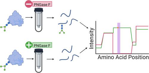 Simultaneous N Deglycosylation and Digestion of Complex Samples on