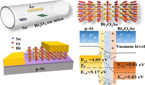 Self-Powered And Broadband Bismuth Oxyselenide/p-Silicon Heterojunction ...