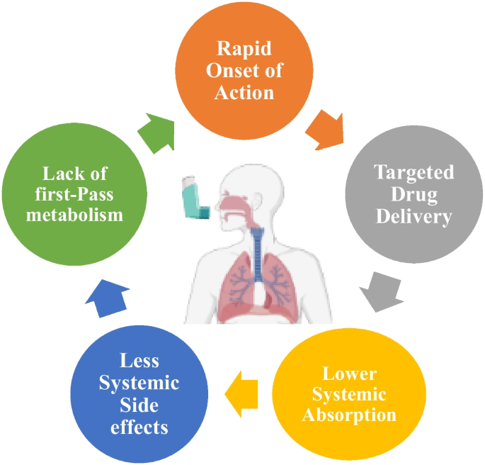 Pulmonary drug delivery an effective and convenient delivery route to