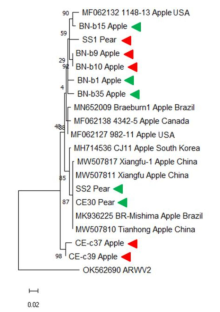 BR/ZONE 2023/02/07-