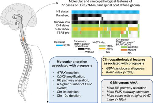 Genomic Profiling And Prognostic Factors Of H3 K27M-mutant Spinal Cord ...