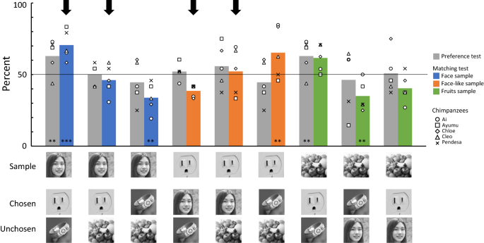 Correction: Do chimpanzees see a face on Mars? A search for face