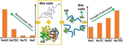 Hydrophobic interaction of four bile salts with hemoglobin induces