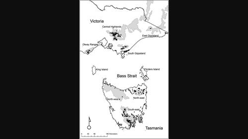 A Lesson From Bass Strait On Connectivity Conservationgeographical Research X Mol 4348