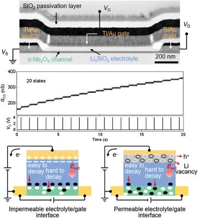 Li-Ion-Based Electrolyte-Gated Transistors With Short Write-Read Delay ...