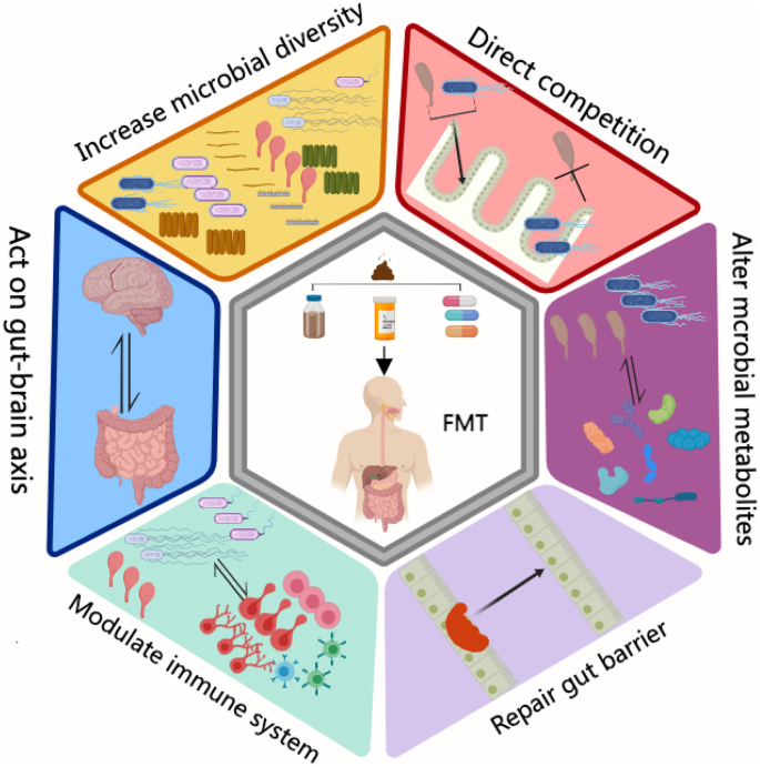 The Evolving Landscape Of Fecal Microbial Transplantation,Clinical ...