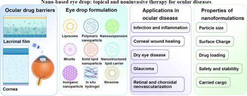 Nano-based Eye Drop: Topical And Noninvasive Therapy For Ocular ...