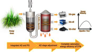 Optimization Of Integrated Anaerobic Digestion And Pyrolysis For Biogas ...