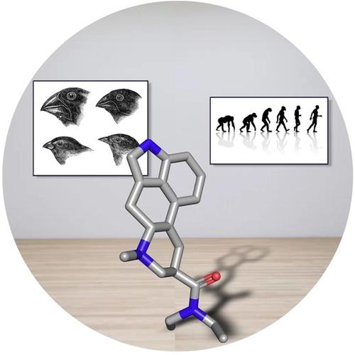 DNA-Encoded Libraries: Towards Harnessing Their Full Power With ...