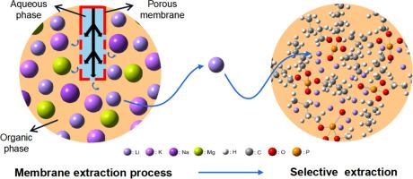 Extraction and separation of Li+ from high-ratio Mg/Li salt lake brines ...