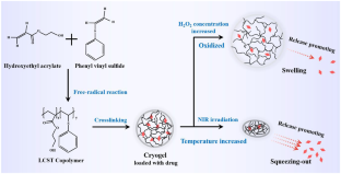 Temperature- and oxidation-dependent doxorubicin release from poly ...