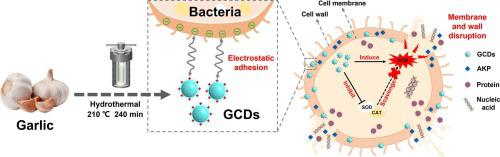 Natural Biomass-derived Carbon Dots As Potent Antimicrobial Agents ...