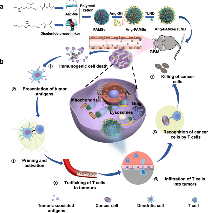 A nitricoxide driven chemotactic nanomotor for enhanced immunotherapy