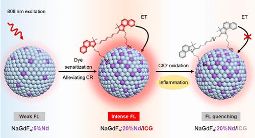 Activatable Lanthanide Nanoprobes With Dye-Sensitized Second Near ...