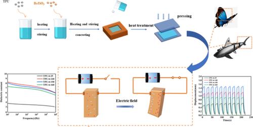 Enhanced dielectric, energy storage, and actuated performance of TPU ...