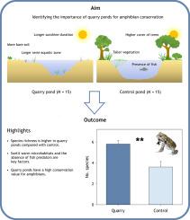 Quarry Ponds Are Hotspots Of Amphibian Species Richness,Ecological ...