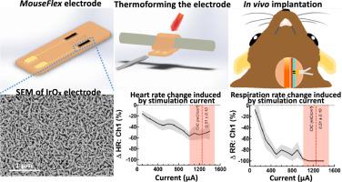 Flexible IrOx neural electrode for mouse vagus nerve stimulation