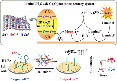 Ultrasensitive Electrochemiluminescence Biosensor Based On 2D Co3O4 ...