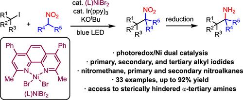 Photoredox-Nickel Dual-Catalyzed C-Alkylation Of Secondary Nitroalkanes ...