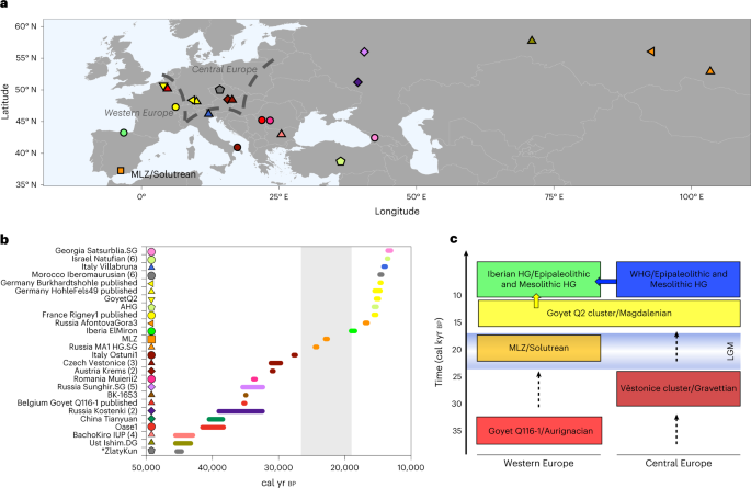 A 23,000-year-old southern Iberian individual links human groups that ...