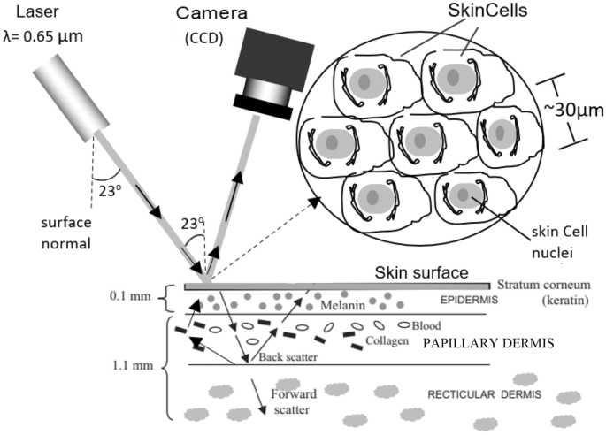 Progressive Observation Of Covid-19 Vaccination Effects On Skin 