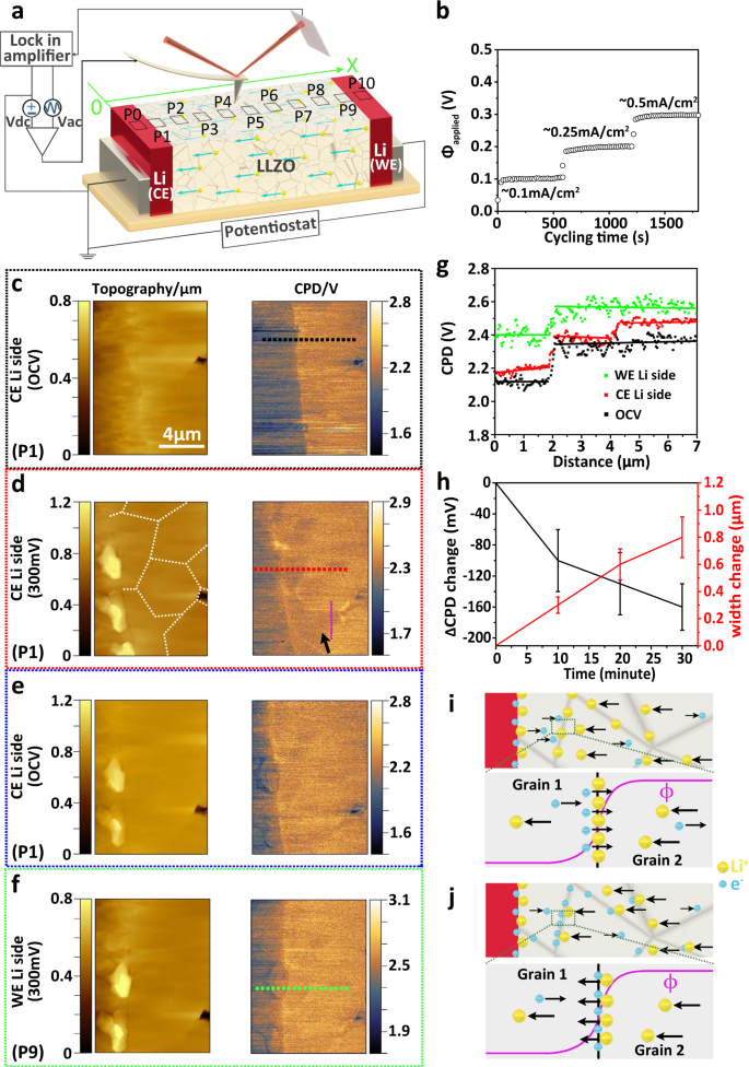 Understanding the evolution of lithium dendrites at Li6.25Al0 ...