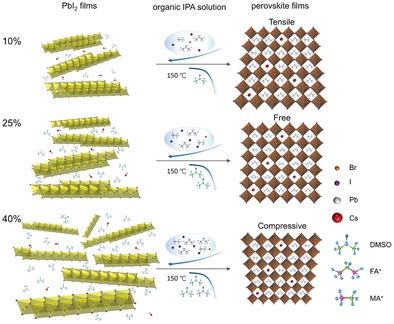 Highly Efficient And Stable Wide-Bandgap Perovskite Solar Cells Via ...