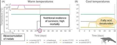 Impacts of seasonal temperatures, ocean warming and marine heatwaves on ...