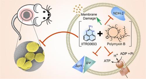 Small Molecule IITR00693 (2-Aminoperimidine) Synergizes Polymyxin B ...