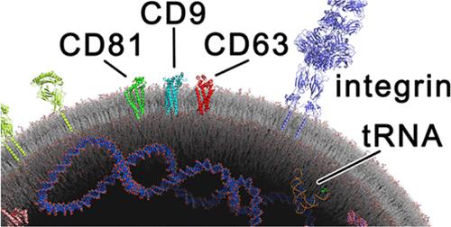 Multiparametric Biosensors For Characterizing Extracellular Vesicle ...