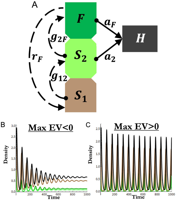 Interpreting random forest analysis of ecological models to move