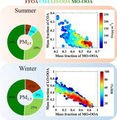 Contrasting the characteristics, sources, and evolution of organic