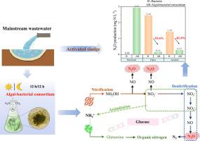 Nitrogen Removal By Algal-bacterial Consortium During Mainstream ...