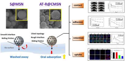 Mesoporous silica nanoparticles with chiral pattern topological