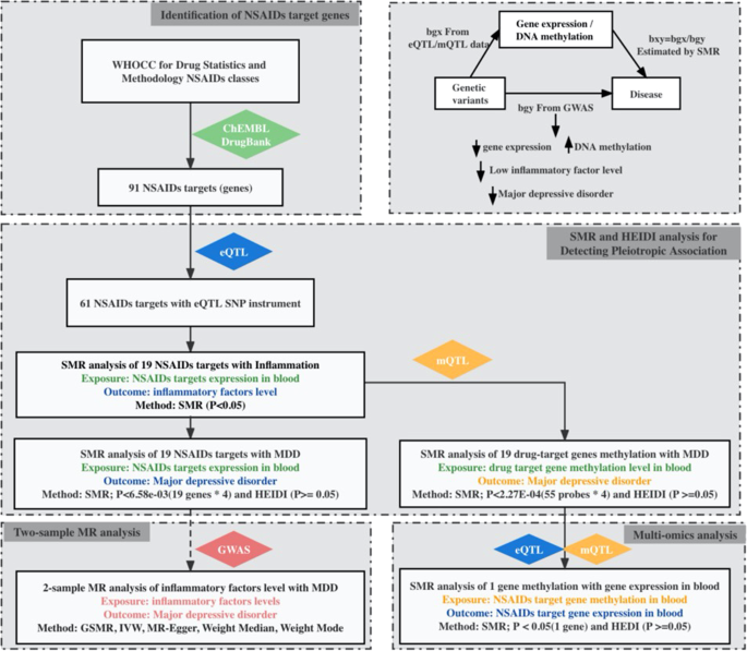 Non Steroidal Anti Inflammatory Drug Target Gene Associations With Major Depressive Disorders A