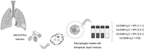 对结核病治疗的治疗性液体混合物和制剂的见解,International Journal 