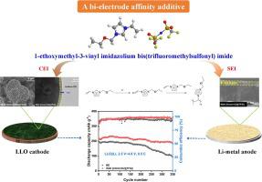 Regulating Robust Interphase Using A Functional Ionic Liquid Additive ...