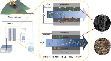 Dual-activated Biochar With A Multichannel Structure Enhanced ...