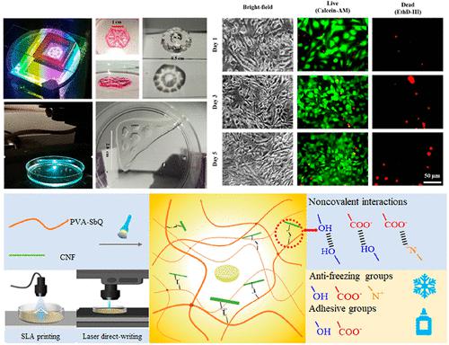 Development Of Antifreezing, Printable, Adhesive, Tough, Biocompatible ...