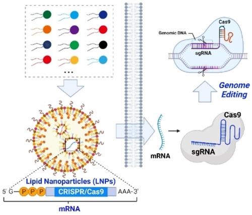 Intracellular Delivery Of MRNA For Cell-Selective CRISPR/Cas9 Genome ...